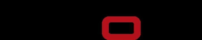 ERP INFOR-BAAN PARA MANUFACTURA.
